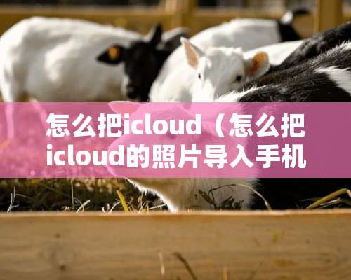 怎么把icloud（怎么把icloud的照片导入手机）