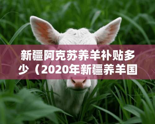 新疆阿克苏养羊补贴多少（2020年新疆养羊国家有补贴吗）