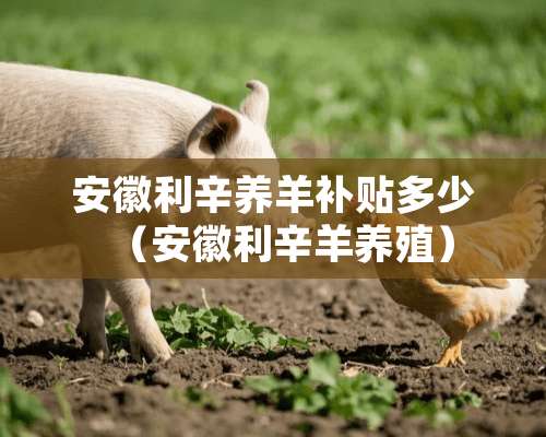 安徽利辛养羊补贴多少（安徽利辛羊养殖）