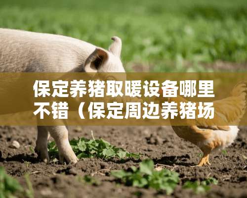 保定养猪取暖设备哪里不错（保定周边养猪场出租最新信息）