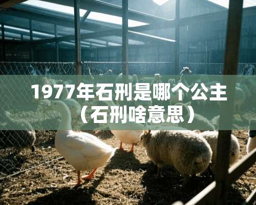 1977年石刑是哪个公主（石刑啥意思）