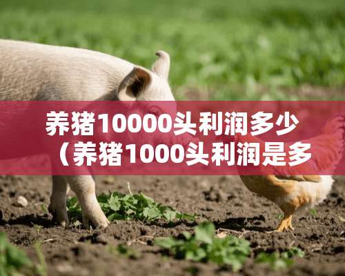 养猪10000头利润多少（养猪1000头利润是多少）