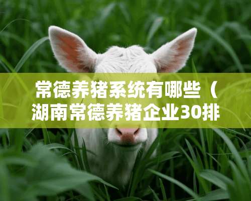 常德养猪系统有哪些（湖南常德养猪企业30排名）