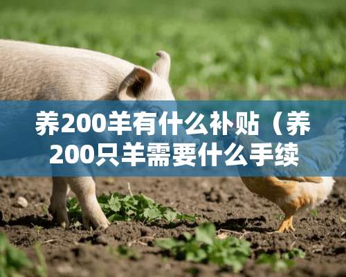 养200羊有什么补贴（养200只羊需要什么手续）