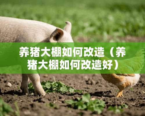 养猪大棚如何改造（养猪大棚如何改造好）