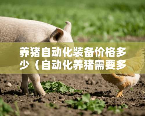 养猪自动化装备价格多少（自动化养猪需要多少钱）