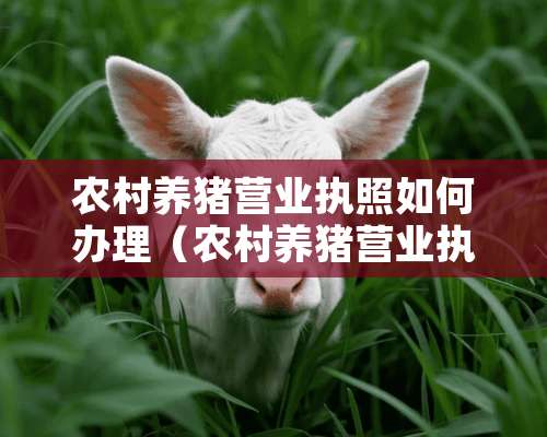 农村养猪营业执照如何办理（农村养猪营业执照如何办理手续）