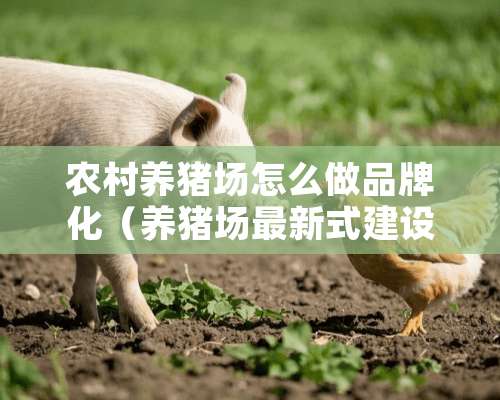 农村养猪场怎么做品牌化（养猪场最新式建设模式）