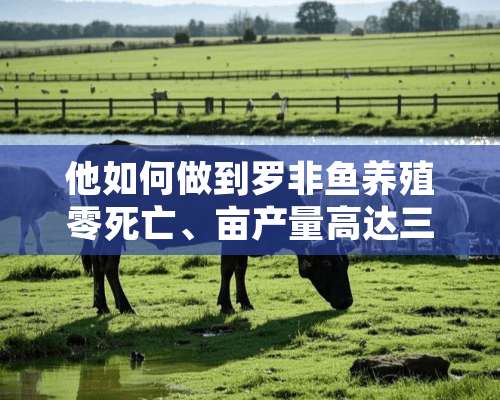 他如何做到罗非鱼养殖零死亡、亩产量高达三千斤！