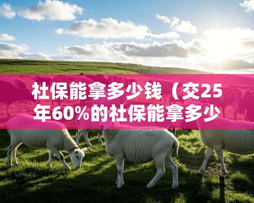 社保能拿多少钱（交25年60%的社保能拿多少钱）