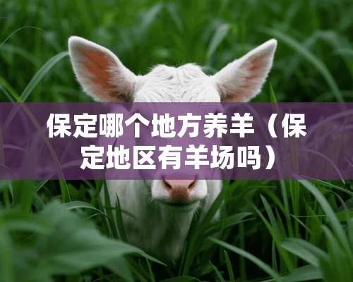 保定哪个地方养羊（保定地区有羊场吗）