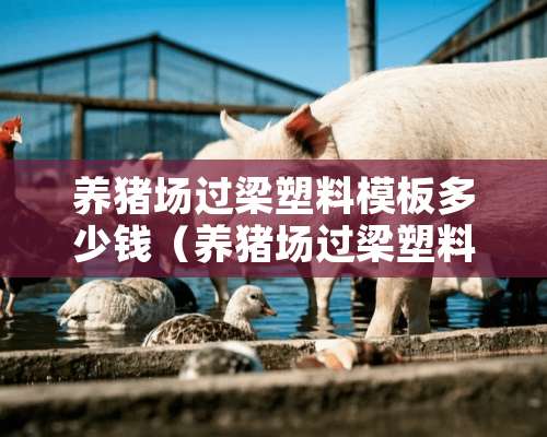 养猪场过梁塑料模板多少钱（养猪场过梁塑料模板多少钱一平方）