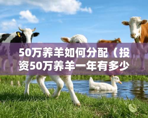 50万养羊如何分配（投资50万养羊一年有多少钱利润）