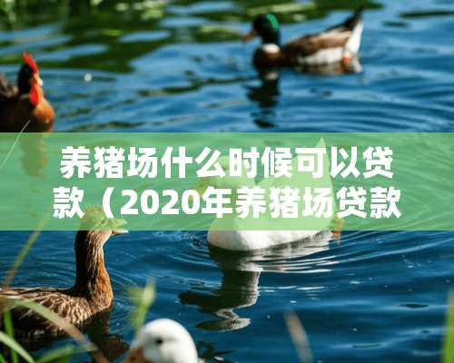 养猪场什么时候可以贷款（2020年养猪场贷款）