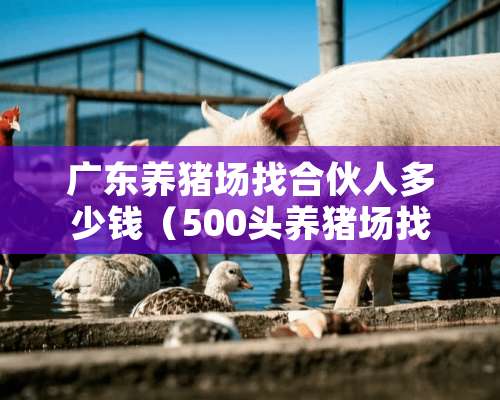 广东养猪场找合伙人多少钱（500头养猪场找合伙人）