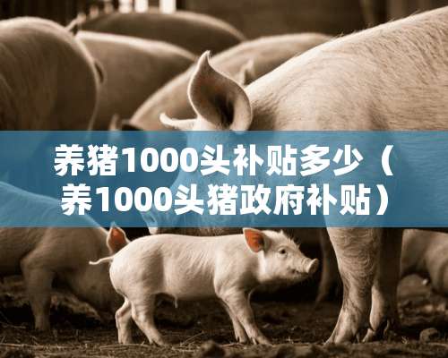 养猪1000头补贴多少（养1000头猪政府补贴）