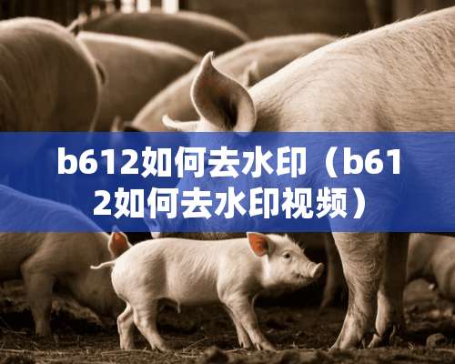 b612如何去水印（b612如何去水印视频）