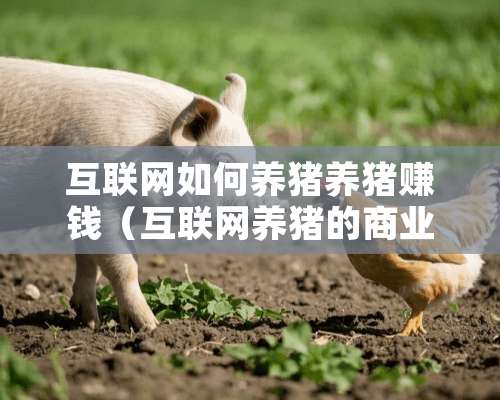 互联网如何养猪养猪赚钱（互联网养猪的商业模式）