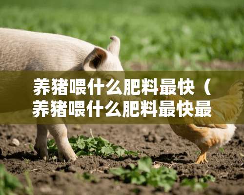 养猪喂什么肥料最快（养猪喂什么肥料最快最好）