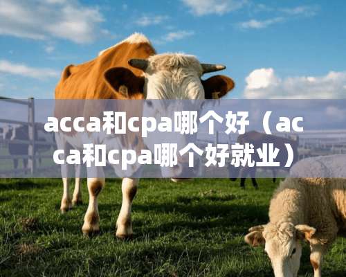 acca和cpa哪个好（acca和cpa哪个好就业）