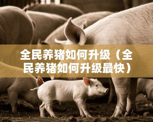 全民养猪如何升级（全民养猪如何升级最快）