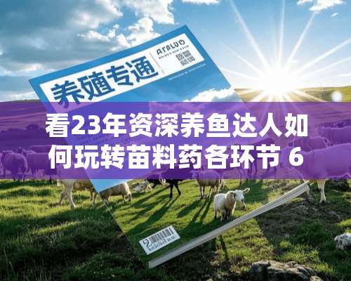 看23年资深养鱼达人如何玩转苗料药各环节 60亩罗非鱼塘年盈利23万！