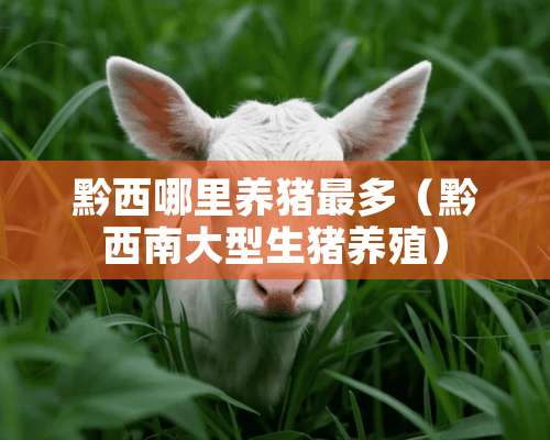 黔西哪里养猪最多（黔西南大型生猪养殖）