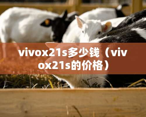 vivox21s多少钱（vivox21s的价格）