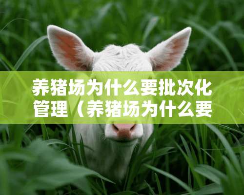 养猪场为什么要批次化管理（养猪场为什么要批次化管理呢）