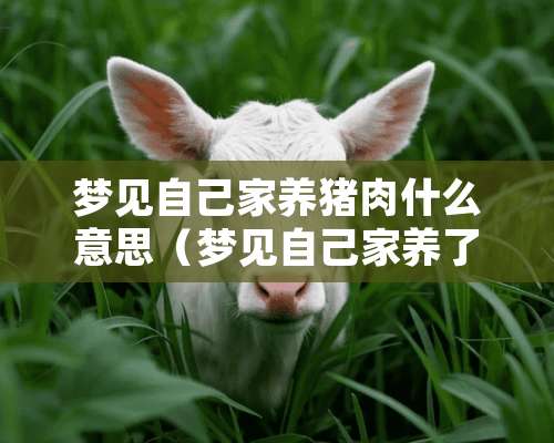 梦见自己家养猪肉什么意思（梦见自己家养了一只猪）