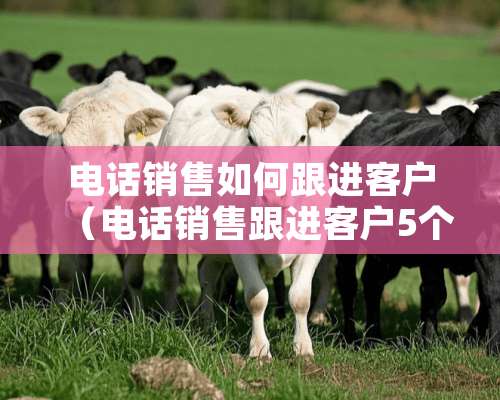 电话销售如何跟进客户（电话销售跟进客户5个方法和技巧）