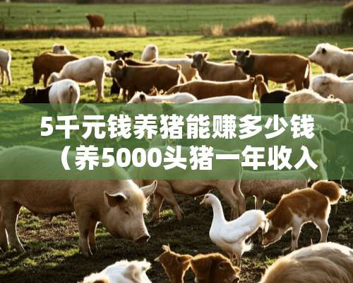 5千元钱养猪能赚多少钱（养5000头猪一年收入）