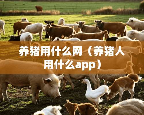 养猪用什么网（养猪人用什么app）