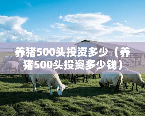 养猪500头投资多少（养猪500头投资多少钱）