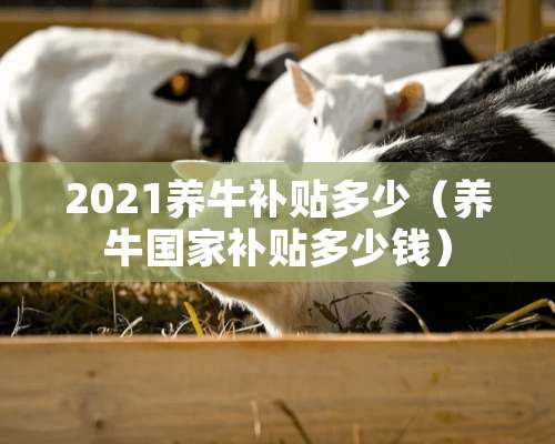 2021养牛补贴多少（养牛国家补贴多少钱）