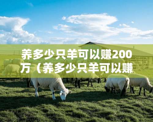 养多少只羊可以赚200万（养多少只羊可以赚200万呢）