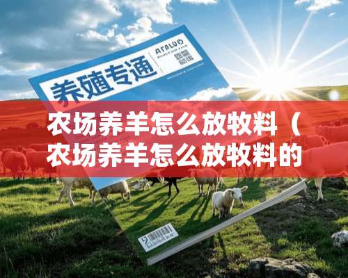 农场养羊怎么放牧料（农场养羊怎么放牧料的）