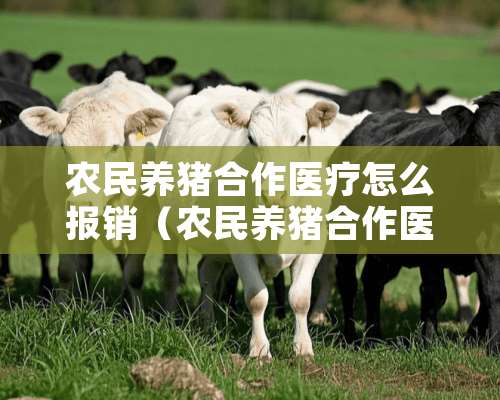 农民养猪合作医疗怎么报销（农民养猪合作医疗怎么报销流程）