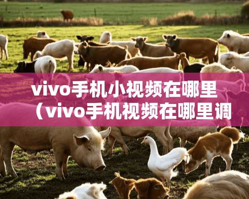 vivo手机小视频在哪里（vivo手机视频在哪里调美颜）