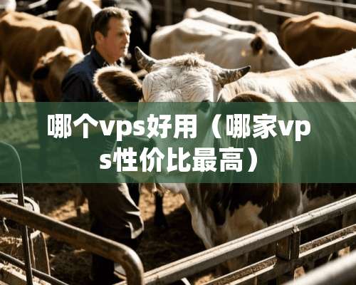 哪个vps好用（哪家vps性价比最高）