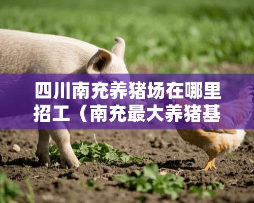 四川南充养猪场在哪里招工（南充最大养猪基地地址电话）