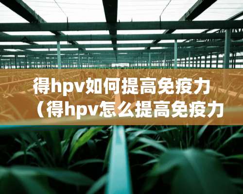 得hpv如何提高免疫力（得hpv怎么提高免疫力）