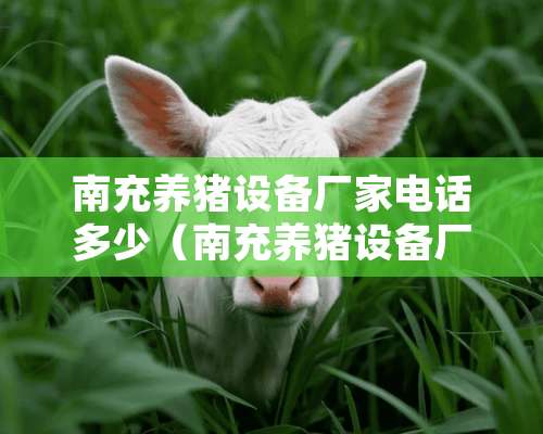 南充养猪设备厂家电话多少（南充养猪设备厂家电话多少号）