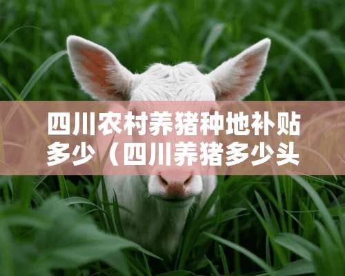 四川农村养猪种地补贴多少（四川养猪多少头国家有补贴）