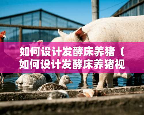 如何设计发酵床养猪（如何设计发酵床养猪视频）