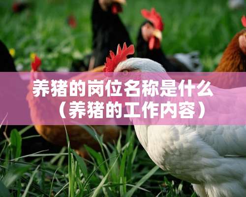 养猪的岗位名称是什么（养猪的工作内容）