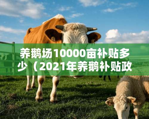 养鹅场10000亩补贴多少（2021年养鹅补贴政策）