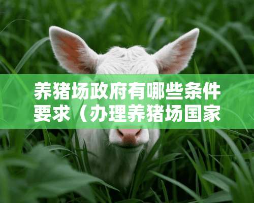 养猪场政府有哪些条件要求（办理养猪场国家有什么补助不?）