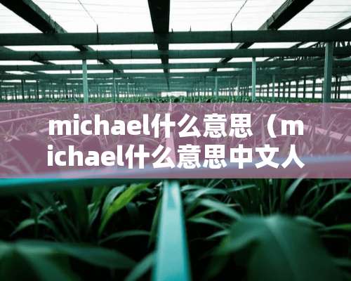 michael什么意思（michael什么意思中文人名）