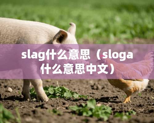 slag什么意思（sloga什么意思中文）